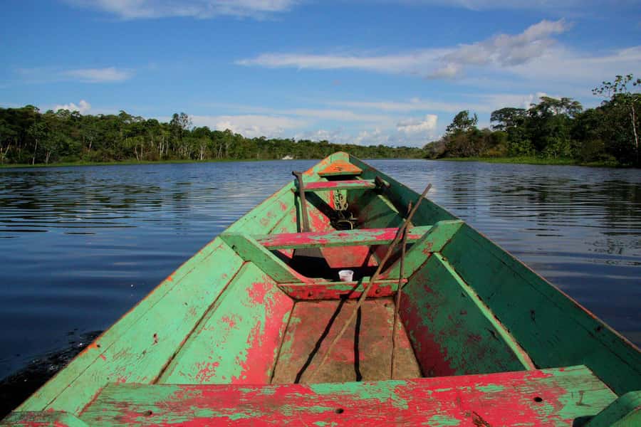 From Puerto Maldonado - Tambopata 4D/3N - Day 4: Treetop views before returning to the city