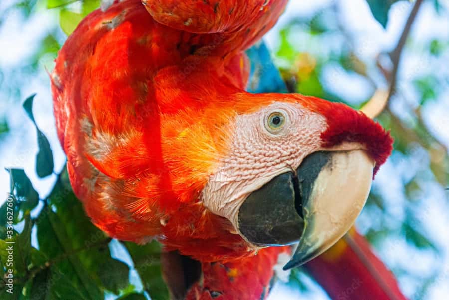 From Puerto Maldonado - Tambopata 4D/3N - Schedule changes and booking caution