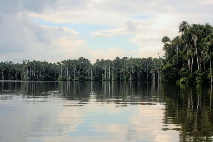 From Puerto Maldonado - Tambopata 4D/3N - Day 1: From Puerto Maldonado to a jungle cabin