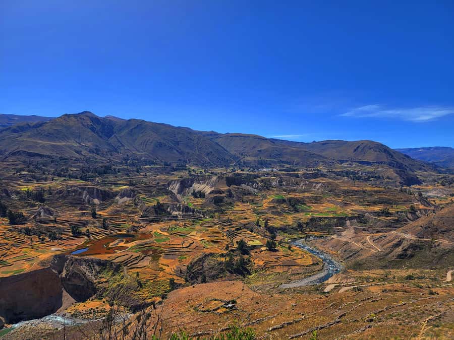From Puno: 2-Day Tour to Colca Canyon ending in Arequipa - Why the Puno to Arequipa route works well