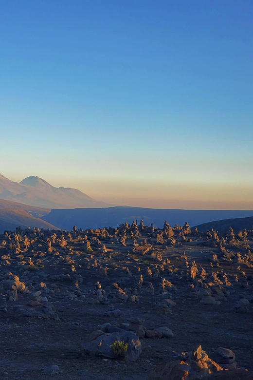 From Puno: 2-Day Tour to Colca Canyon ending in Arequipa - Salinas and Aguada Blanca National Reserve