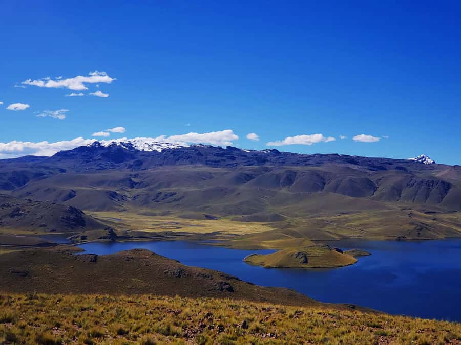 From Puno: 2-Day Tour to Colca Canyon ending in Arequipa - Maca and Antahuilque on the second morning