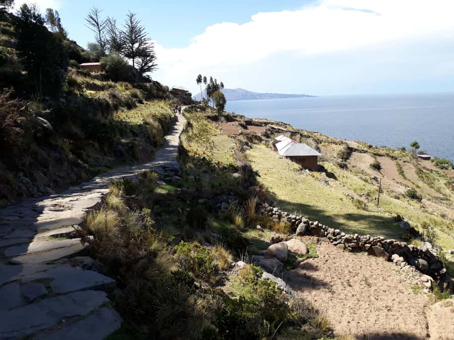 From Puno: full day tour to Uros and Taquile with Lunch - Key points at a glance