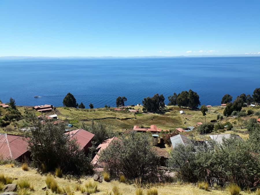 From Puno: full day tour to Uros and Taquile with Lunch - Should you book the Uros and Taquile tour?