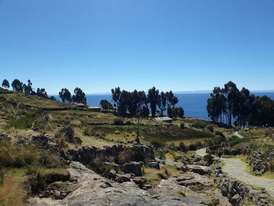 From Puno: full day tour to Uros and Taquile with Lunch - Guides, language, and group comfort