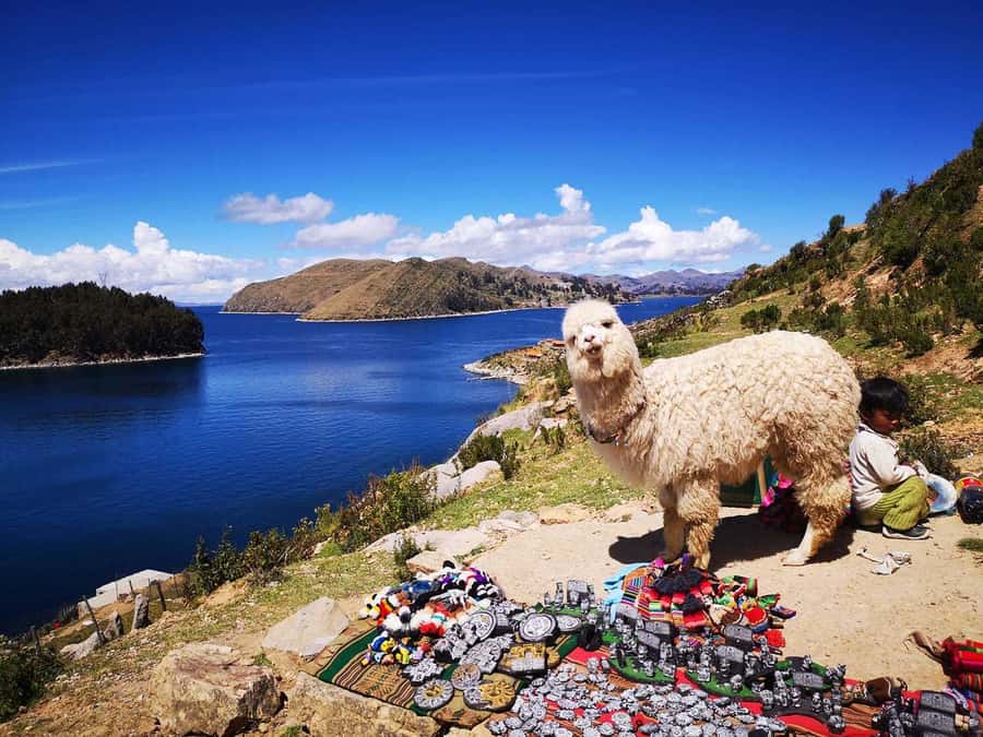 From Puno: Sun Island and Copacabana 1-Day Tour - Crossing from Peru into Bolivia
