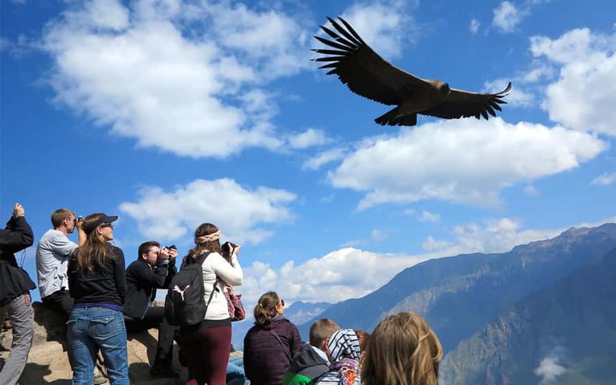 From Puno to Arequipa: 2 Days/1 Night Colca Canyon Tour - Why this Puno to Arequipa route makes sense