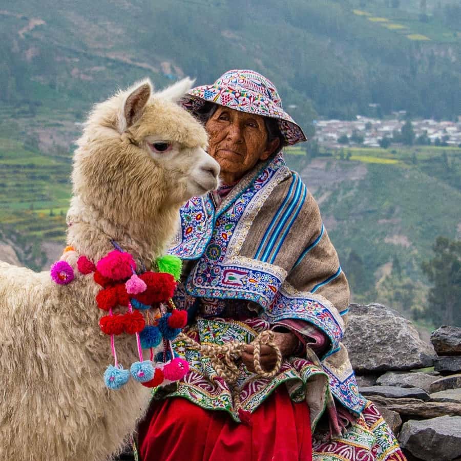 From Puno to Arequipa: 2 Days/1 Night Colca Canyon Tour - Patapampa reaches 4,830 meters