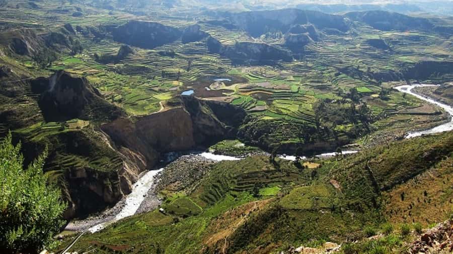 From Puno to Arequipa: 2 Days/1 Night Colca Canyon Tour - Day one begins with lagoons and vicuñas