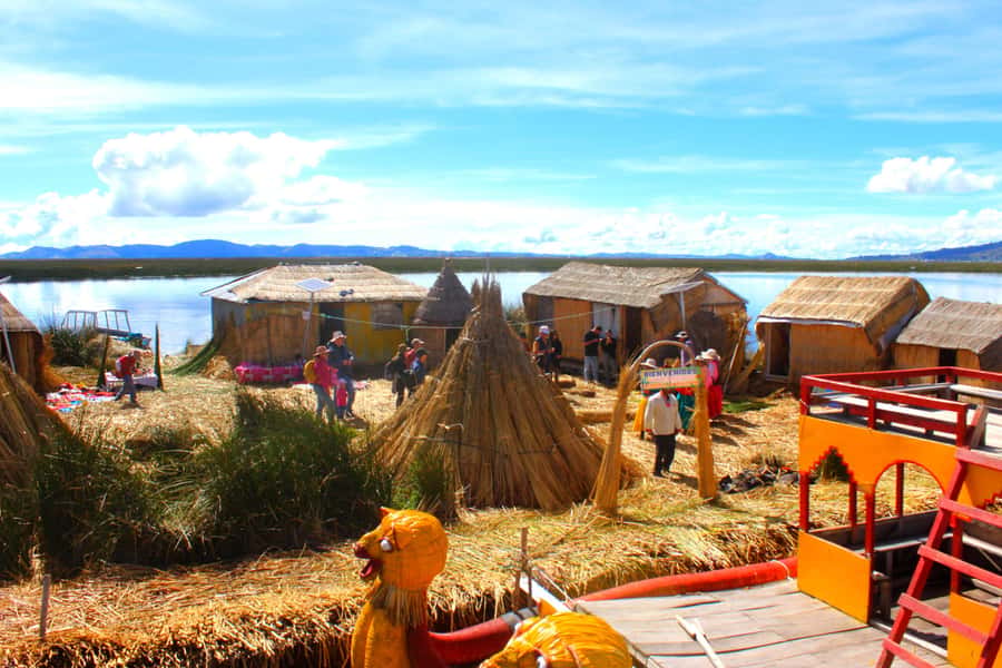 From Puno: Uros floating islands half Day tour - Seeing islands made from totora reeds