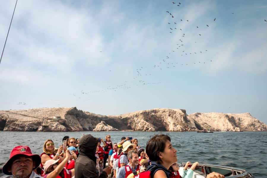 From San Martin Port: Ballestas Island & Paracas Reserve - The Candelabro, a mystery etched into the desert