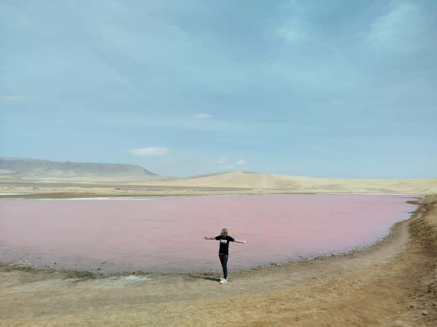 From San Martin Port: Ballestas Island & Paracas Reserve - Returning to land and crossing the Paracas desert