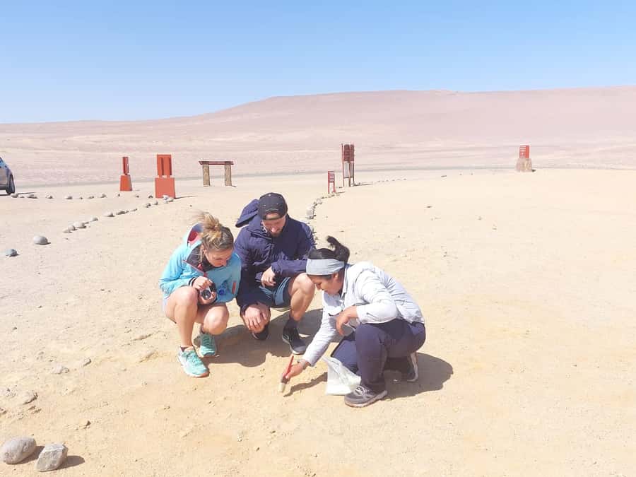 From San Martin Port: Ballestas Island & Paracas Reserve - Red Beach and the remains of the Cathedral