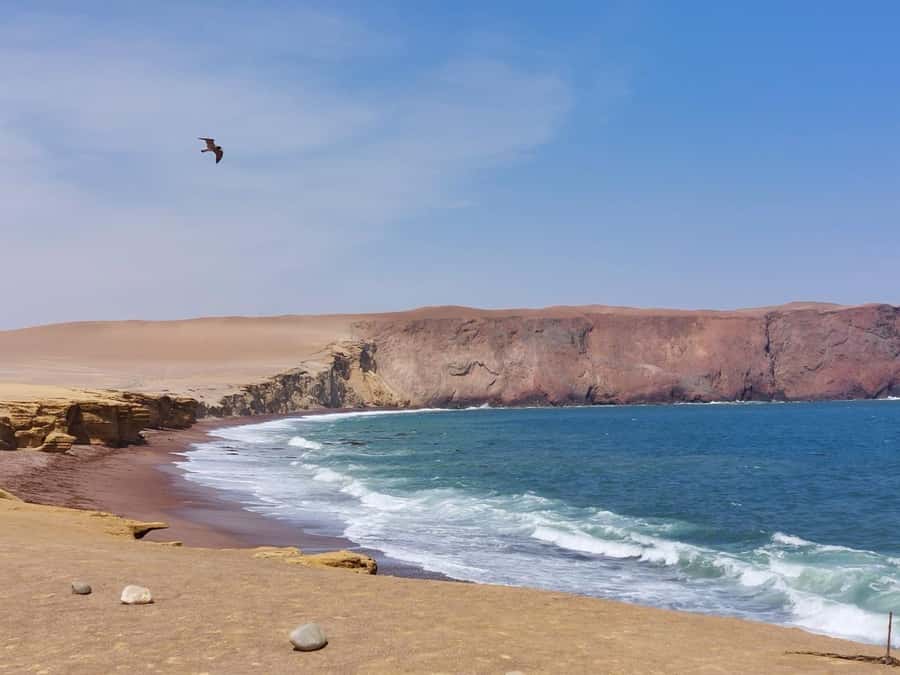 From San Martin Port: Ballestas Island & Paracas Reserve - Two hours around the Ballestas Islands