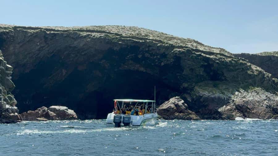 From San Martin Port: Ballestas Islands Tour in Paracas - Key points to know before you book