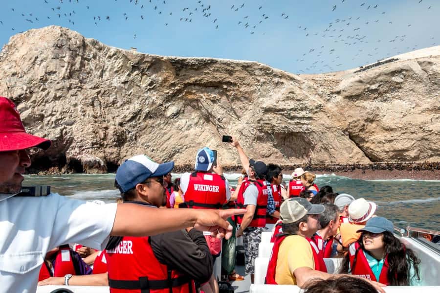 From San Martin Port: Ballestas Islands Tour in Paracas - Who will enjoy this three-hour outing?
