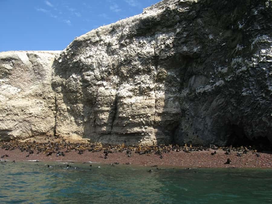 From San Martin Port: Ballestas Islands Tour in Paracas - What to bring for the Ballestas Islands