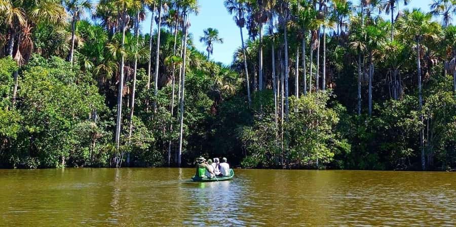 From Tambopata: Amazon Jungle Hike and Lake Sandoval 1-Day - Lunch and the return to Puerto Maldonado