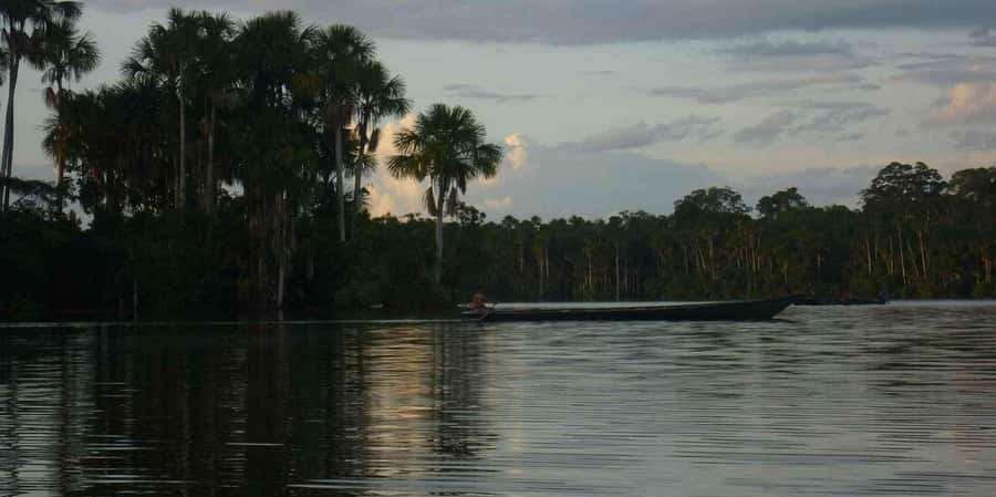 From Tambopata: Amazon Jungle Hike and Lake Sandoval 1-Day - The 3-kilometer walk through Tambopata