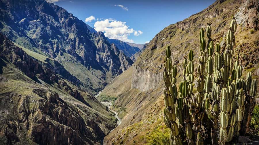 Full-Day Colca Canyon Tour from Arequipa - Chivay lunch, street time, and La Calera hot springs