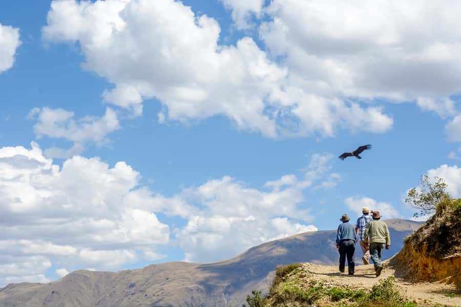 Full-Day Condor Viewpoint & Inca Sites Tour - Limatambo provides a welcome lower-altitude pause