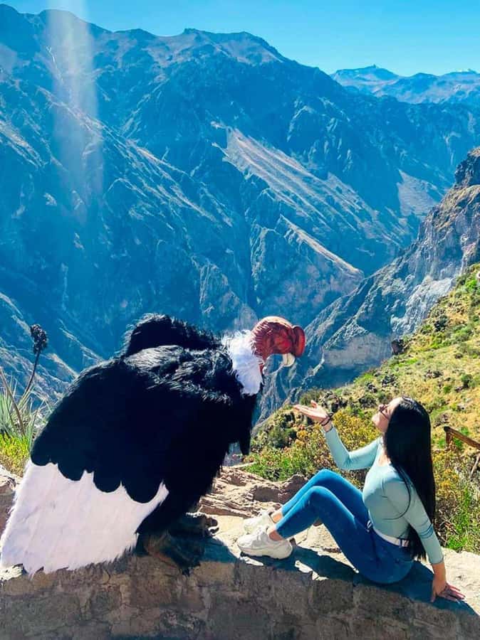 Full day excursion to Colca Canyon - Cruz del Cóndor and the first canyon view