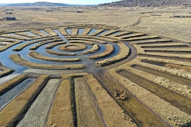 Full Day Guided Tour of the Aymara Route from Puno - Key points before you book