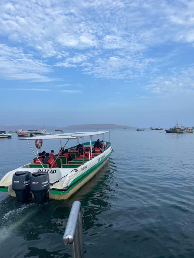 FULL DAY PARACAS - ICA - Ballestas Islands and the 170-meter Candelabra