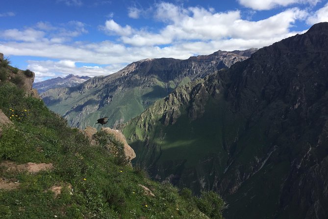 Full Day Tour / Colca Canyon - Breakfast in Chivay: useful stop, modest meal