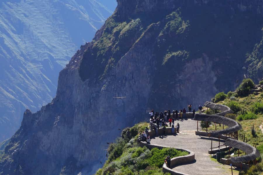 Full Day Trip to Colca Canyon from Arequipa ending in Puno - Key points to know before booking