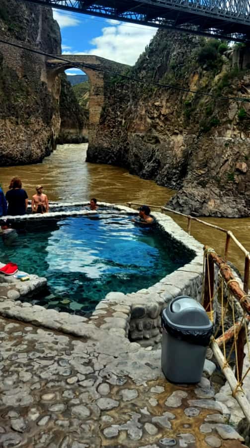 Full Day Trip to Colca Canyon from Arequipa ending in Puno - Wildlife in Pampa Cañahuas and Pampa de Toccra