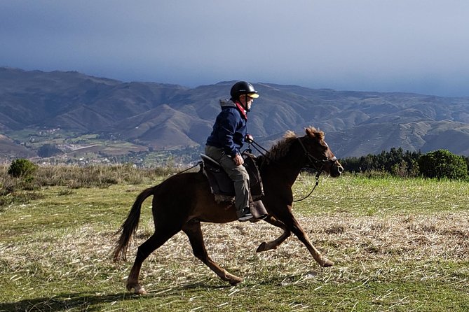 Half day Horseback Riding tour around Sacsayhuaman park - Caves, Forest, and the Inca Face