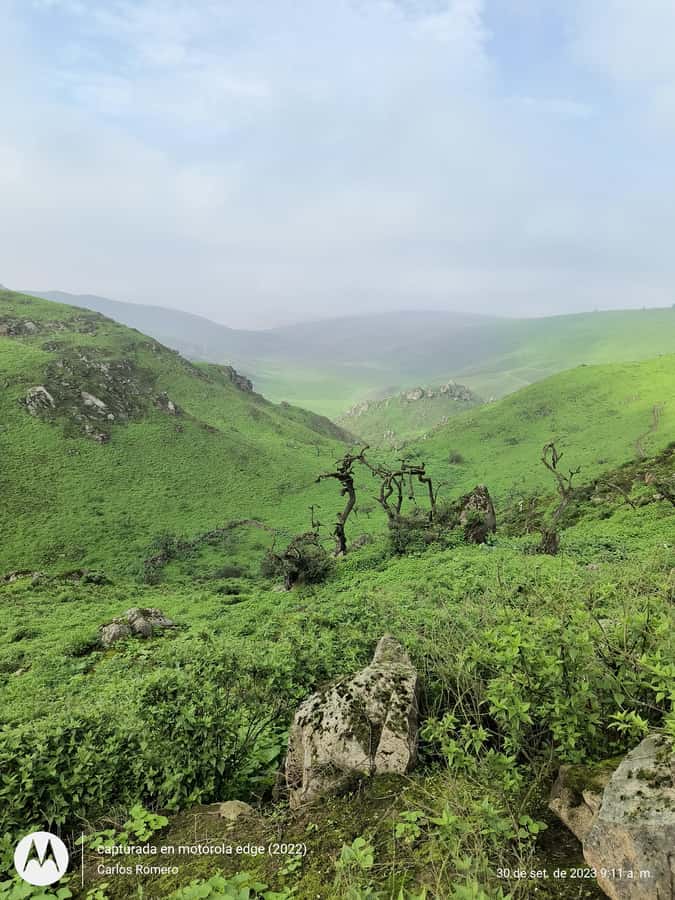 Hiking Lomas de Lachay in Lima - The 5 am pickup and the road out of Lima