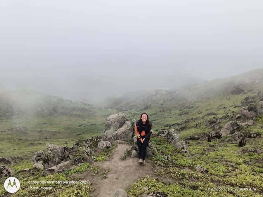 Hiking Lomas de Lachay in Lima - What the two-hour hike is really like