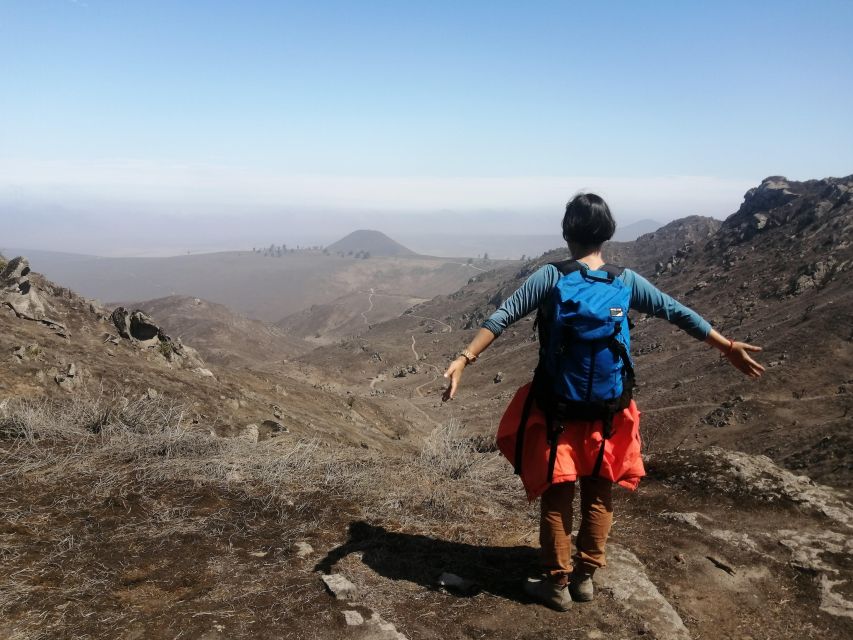 Hiking Lomas de Lachay in Lima - Views, plants, and the value of a guide