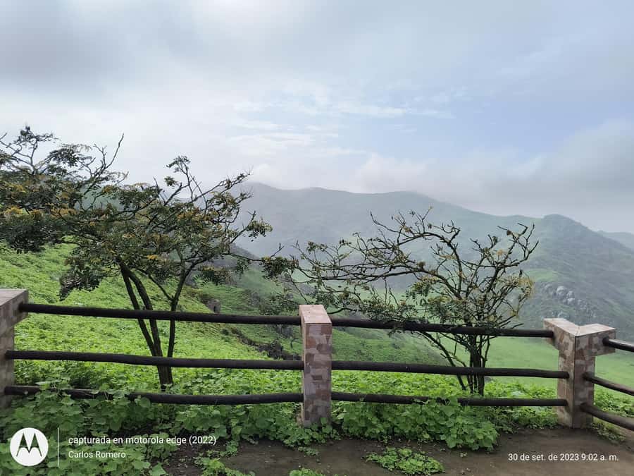 Hiking Lomas de Lachay in Lima - Who will enjoy this day most?