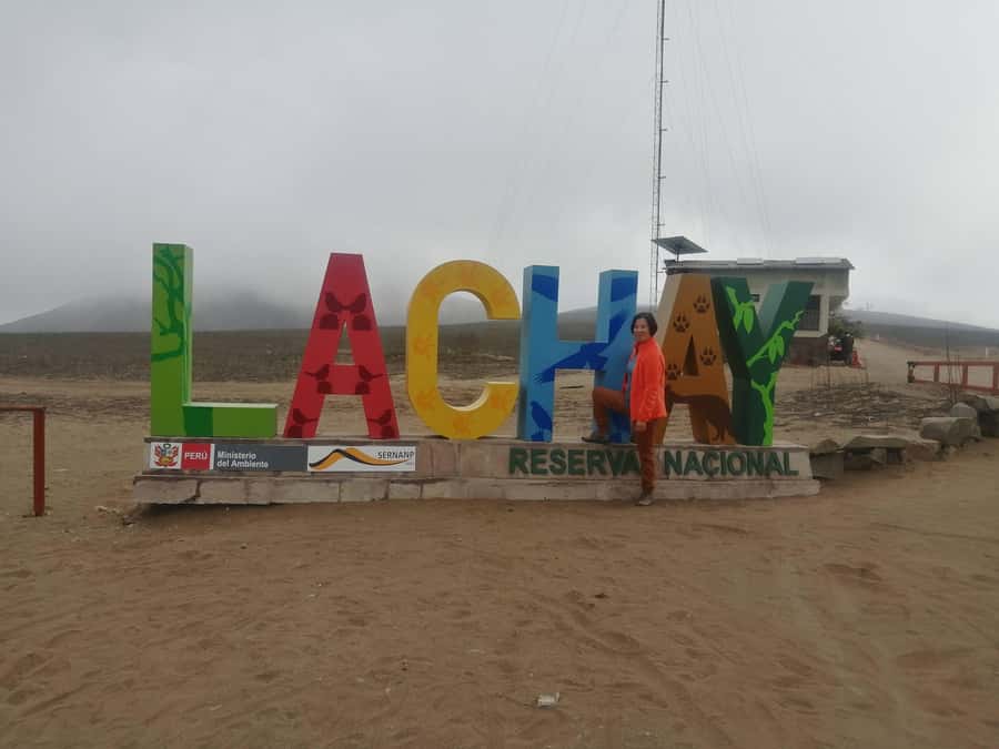 Hiking Lomas de Lachay in Lima - Reaching the green hills and desert trails