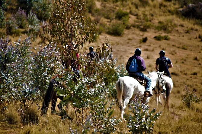 Horse Riding Chacan Mountain And Temple Of The Moon - Gabriel’s Ranch and the horses