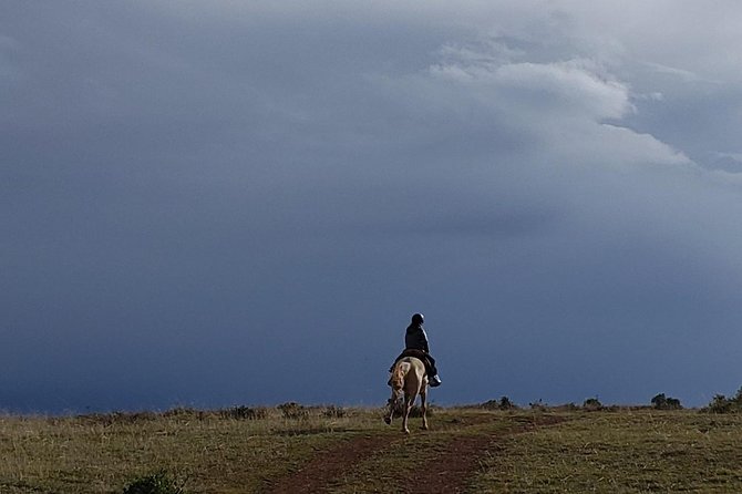 Horseback Tour in cusco to Temple of the Moon & Hidden temples - Key points to know before you book