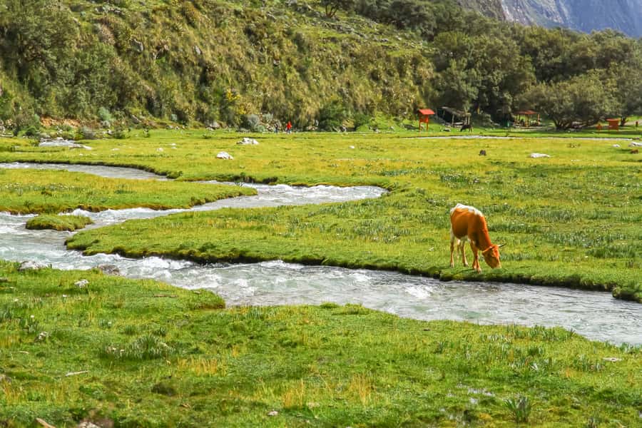 Huaraz: 3-hour Trek to Laguna 69 with Optional Lunch - What to bring for the high mountain day