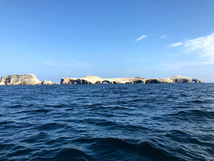 Ica: Ballestas Island & Paracas Reserve Private Tour - Why this Ica and Paracas pairing works