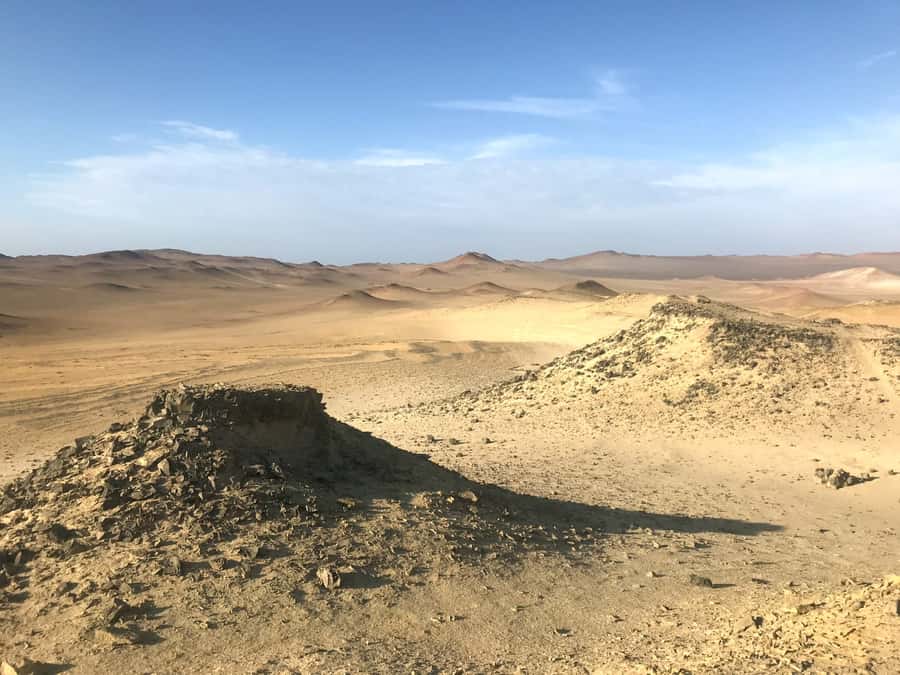 Ica: Ballestas Island & Paracas Reserve Private Tour - Ballestas Islands and its crowded rocky shores