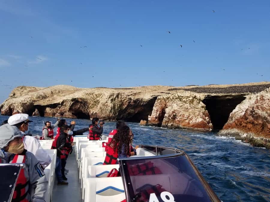 Ica: Ballestas Island & Paracas Reserve Private Tour - Playa Roja and Lagunillas Beach
