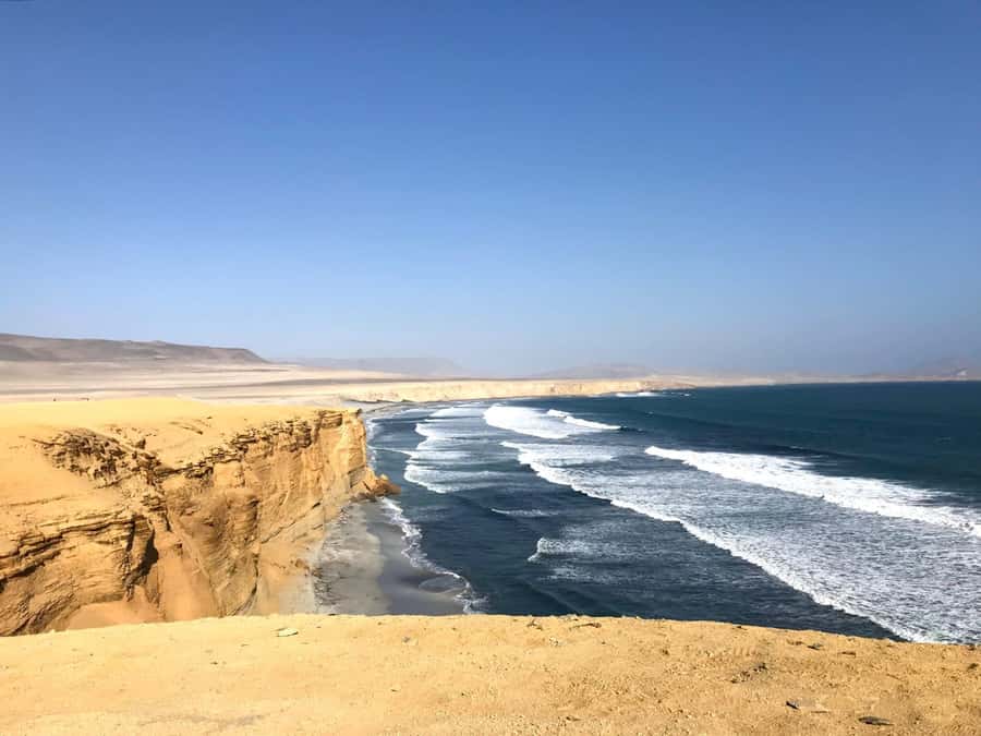 Ica: Ballestas Island & Paracas Reserve Private Tour - What the $100 price really covers