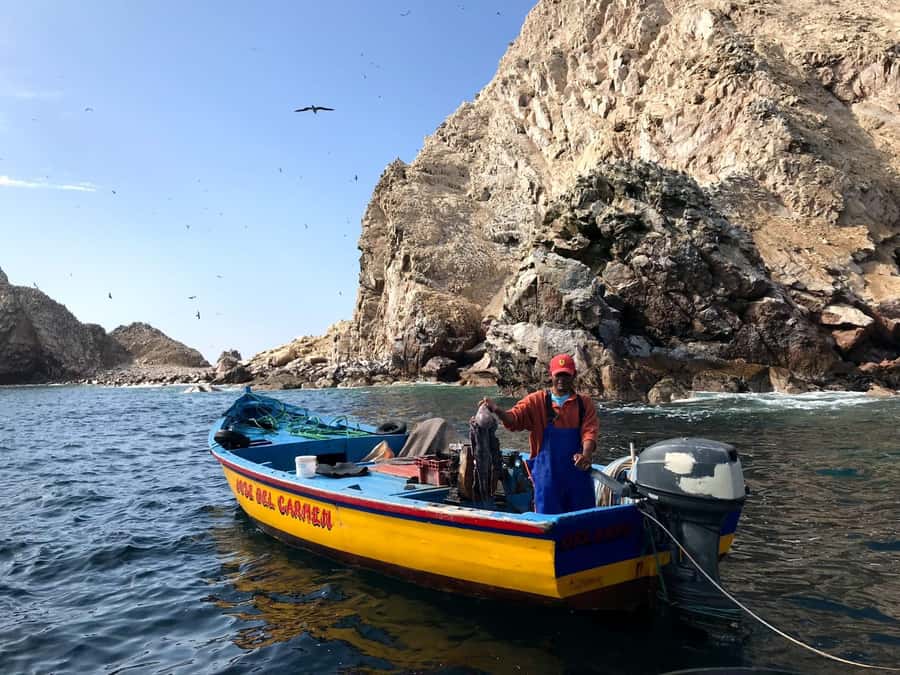 Ica: Ballestas Island & Paracas Reserve Private Tour - Hotel pickup and the ride to Marina Turistica