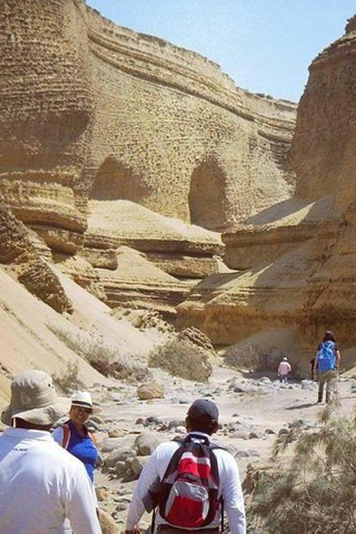 Ica / Huacachina : Canon de los Perdidos - Ica's Hidden Gem - Who should book this canyon tour?
