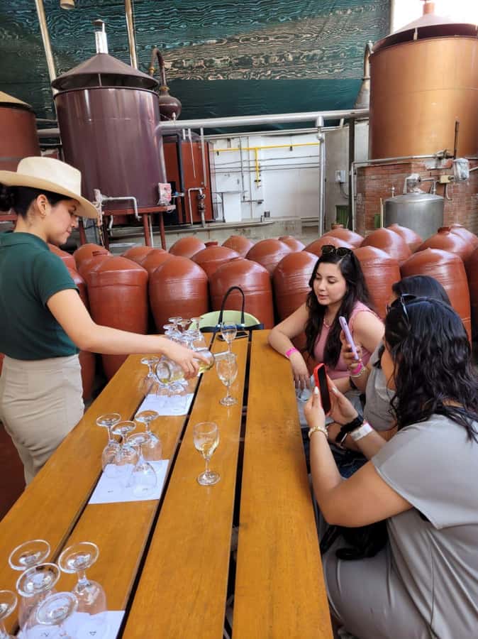 ICA: Pisco and Wine Route with tasting in 03 Wineries - Why pisco belongs on your Ica itinerary