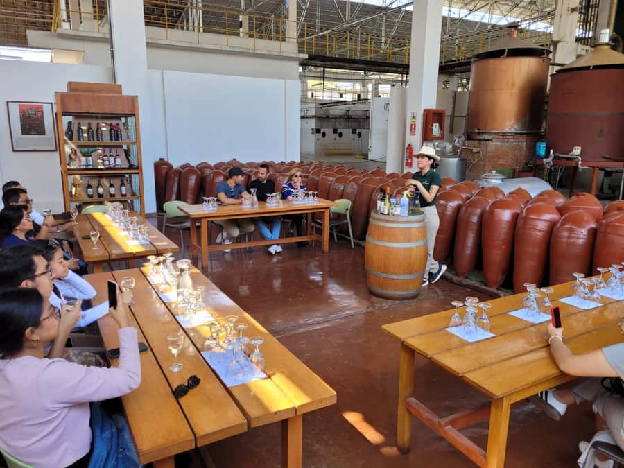 ICA: Pisco and Wine Route with tasting in 03 Wineries - Hacienda Tacama: the historic opening stop