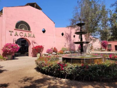 Pisco and Wine Route with tasting in 03 Wineries