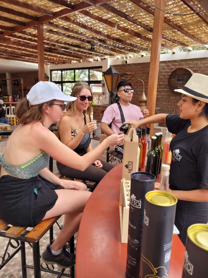ICA: Pisco and Wine Route with tasting in 03 Wineries - From grape harvest to pisco distillation
